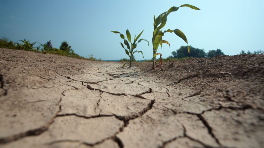 12 regole per risparmiare l'acqua